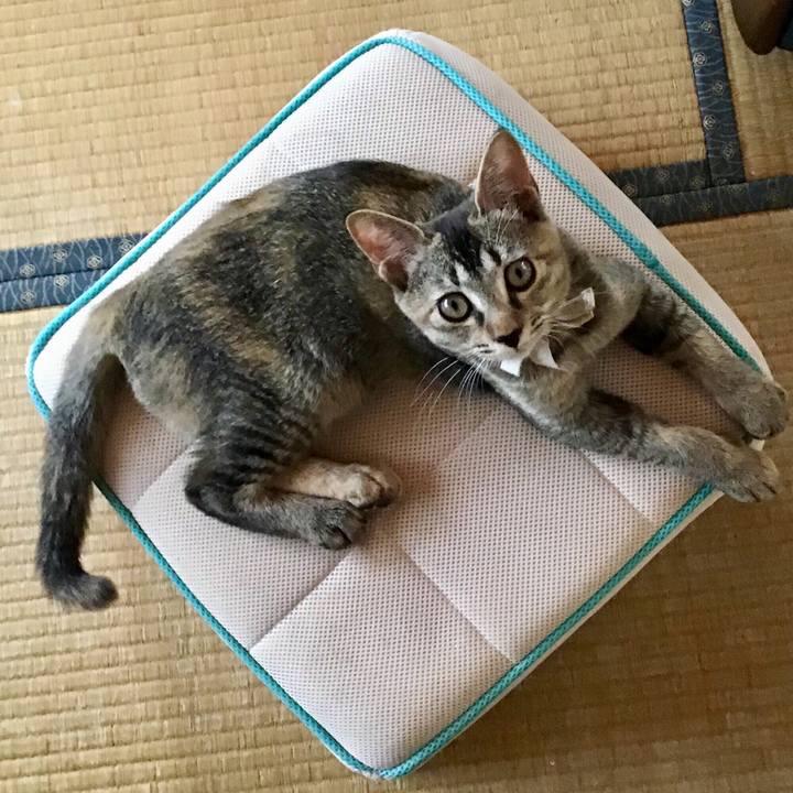 7a5bb49f e70c 46fd 8d97 87af5151f0d8 1662089050246