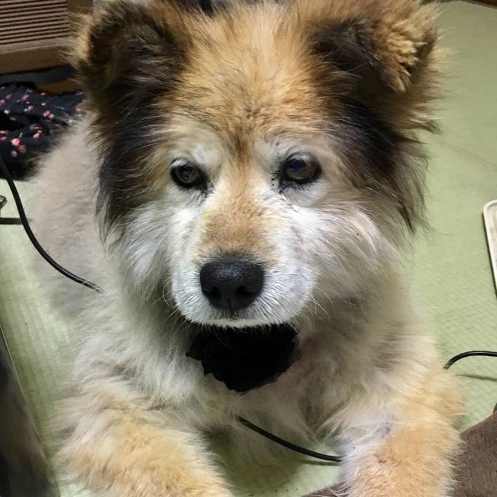 7a5bbc7d 2a76 4a67 b431 984a14e874c4 1603786206904