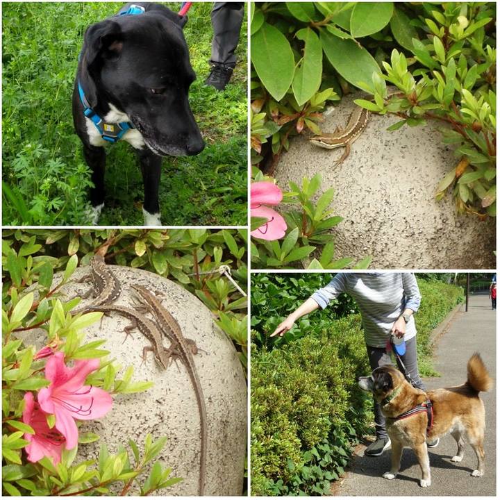 7a5be3f4 209f 48b7 bf51 4ce4388f6d26 1621038687711