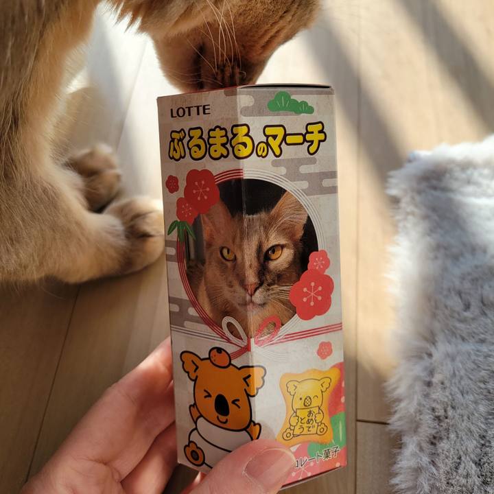 7a5c2bb2 1913 473b 8f59 e8f3c533d13a 1639211245627