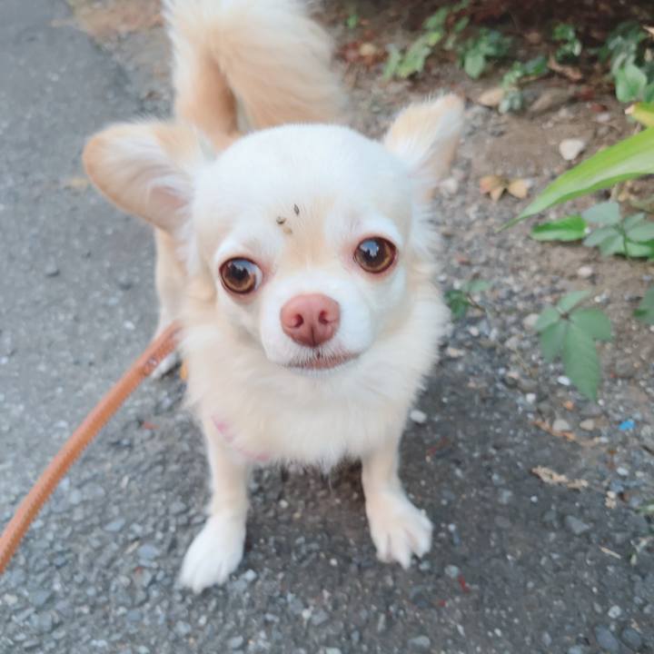 7a5c3339 5ad5 491e b517 d4293be3e638 1689768827764