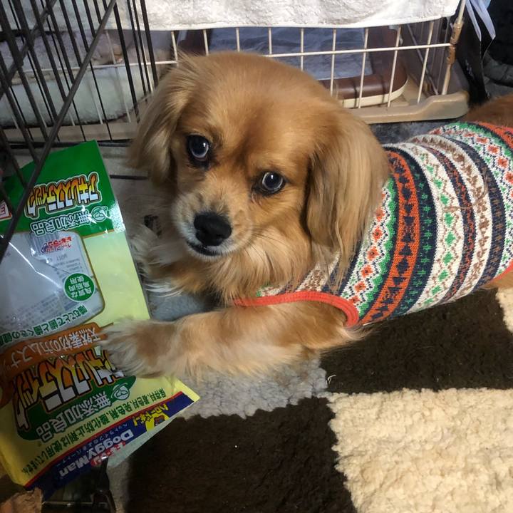 7a5c482f fd9b 4a59 a65d 180eaf5fcd40 1546811735617