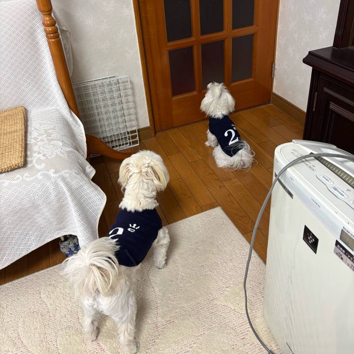 7a5c6024 f3b2 4ddb 8adf 053af1bc4ce0 1733300097942