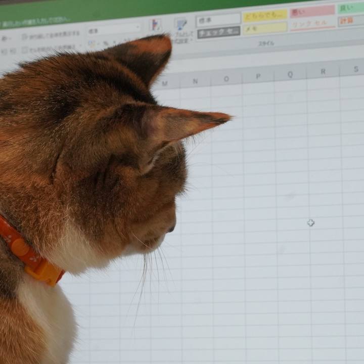 7a5c89d9 0ad3 4d8d b5aa 6ceafe76a99c 1636639348950