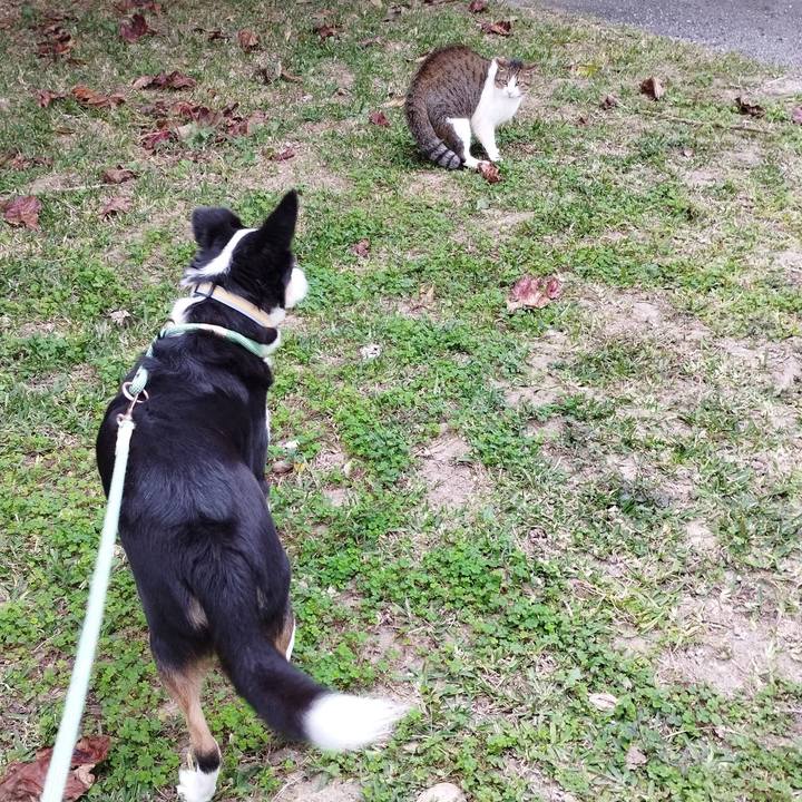 7a5c9f34 faf8 4846 b509 cdd0143fcc2c 1739937599538