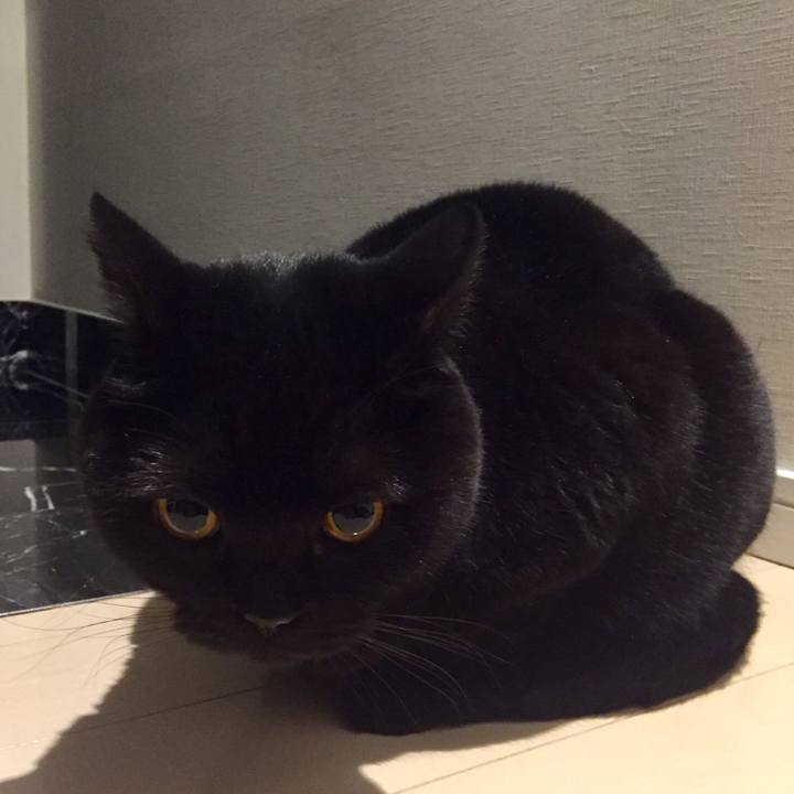 7a5cc58a e261 4c84 aca0 a27ea0172ac8 1580387374235