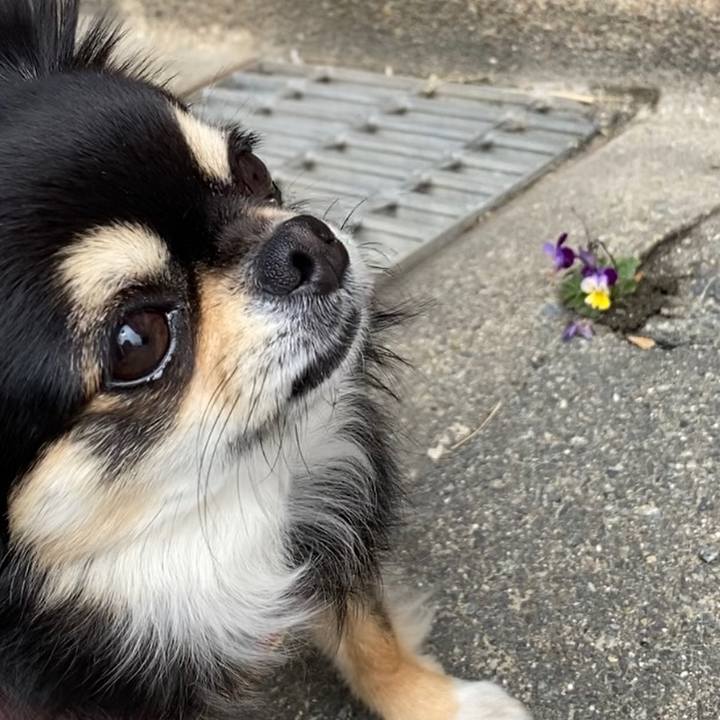 7a5cc92f 01fb 4725 b6fe a1a70b7b2200 1618267066695