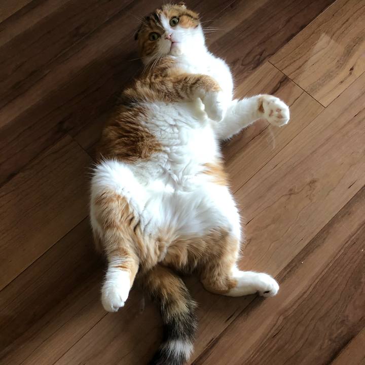 7a5cf550 3378 4812 84a0 73eb8aab4fb0 1591746673043