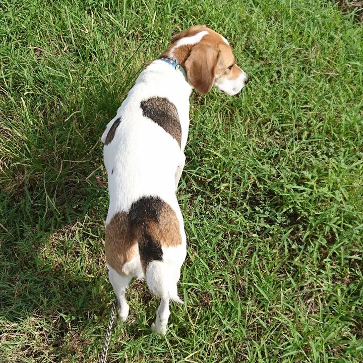 7a5d6ed4 8a91 4a5c bb31 2aebe120d8e0 1568943068069