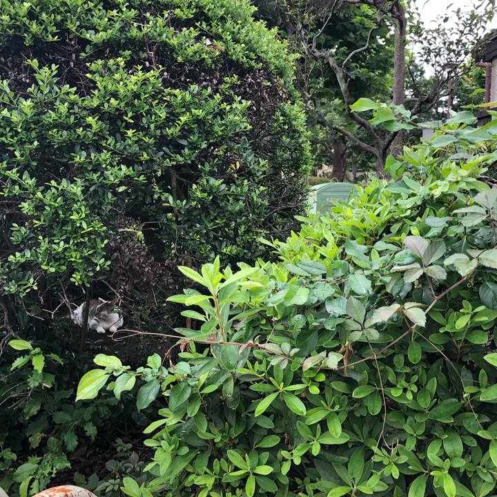 7a5d8702 cf4f 472e 97a1 6383f94cddd5 1564045928631