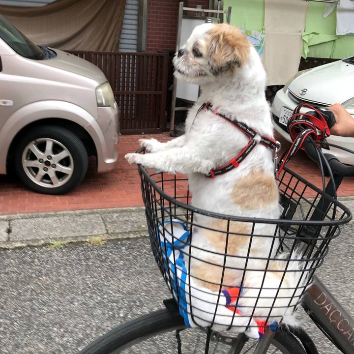 7a5d89e3 f37e 4c7a b6b4 ea3cf99bc0ea 1569793268489