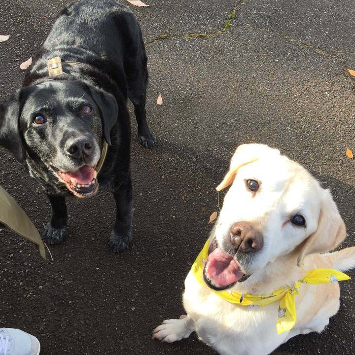 7a5d9adb 87eb 4875 88a7 34399138ca00 1617318087454