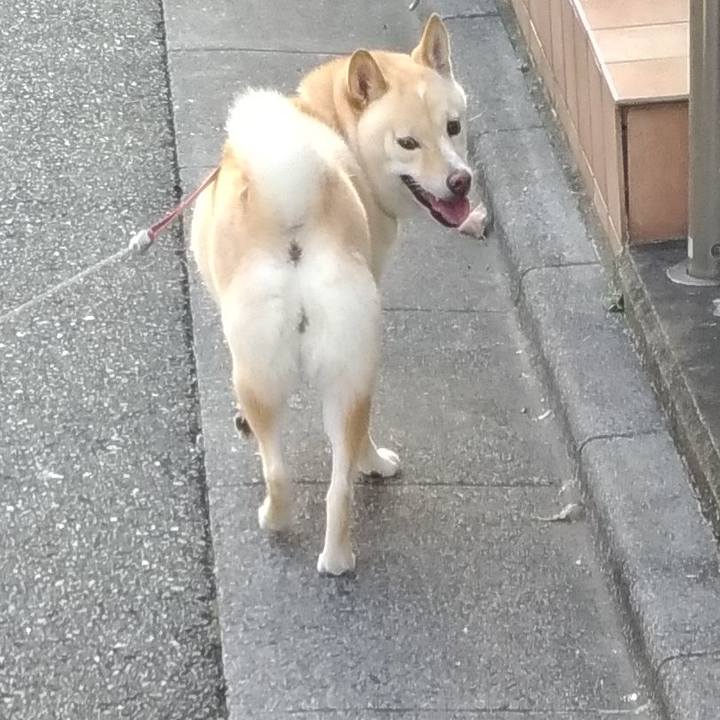 7a5db9b0 5641 4eba aed3 fe594bd75a95 1598047545990