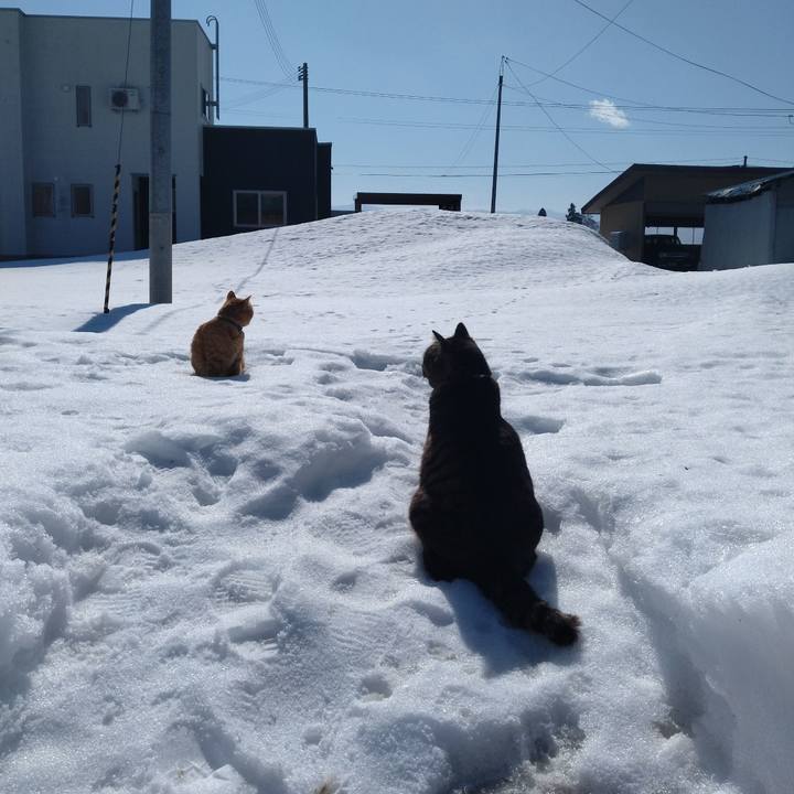 7a5ddfa3 3b0f 4182 b926 60e509258be7 1771384241976