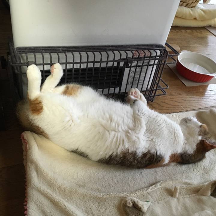 7a5e308b 40a2 4bc8 8cd6 781bd9692ae7 1552701923162