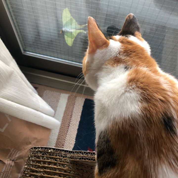 7a5e542a 60e0 4a1a 97be 7e386cbe0d0e 1592263869188