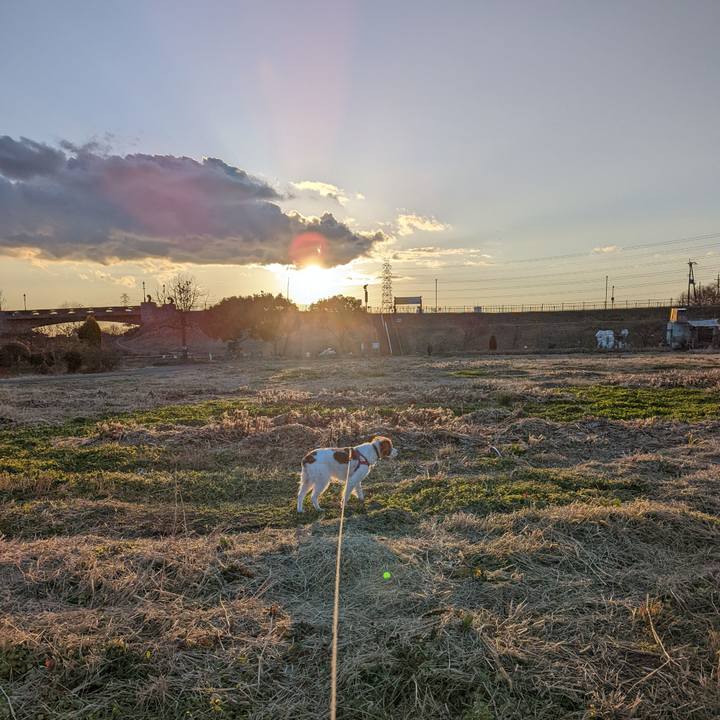 7a5e7ff2 d7cd 4c60 940a b826f74d1ae4 1644580374531