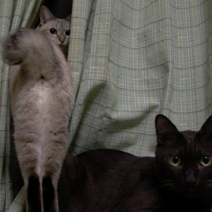 7a5ebd7c 5504 40e5 a183 ba477e0fbe2a 1619008493702