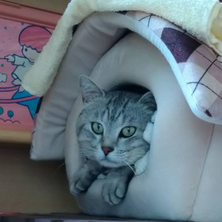 7a5eddca 360c 481c b5e3 2de5a682dc9a 1687744872838