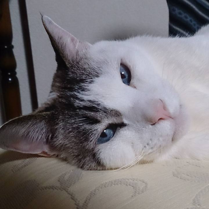 7a5f0e41 d8f8 4248 938e ac958c6776f1 1615029678320