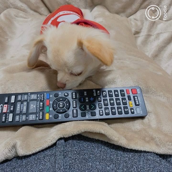 7a5f2a6b fa58 4d99 963f 5113894f2564 1606395262119