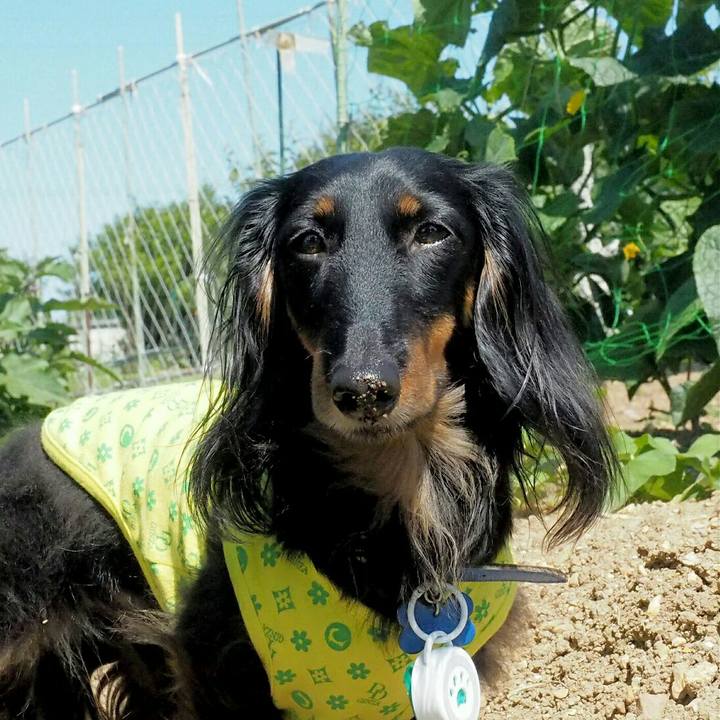 7a5f4ba7 2680 40d5 9f57 13395d639c10 1530327973324