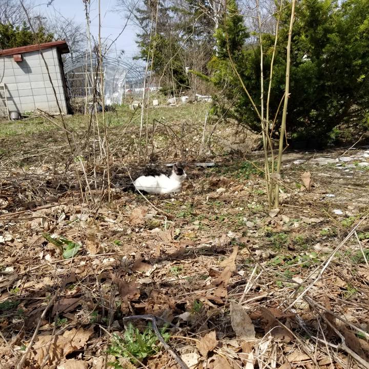 7a5f6370 5217 4b31 9bd0 0318b8dc9b7b 1650807174597