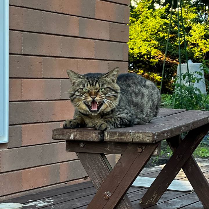 7a5f7459 690f 4655 b061 e04d94aee080 1725782517694