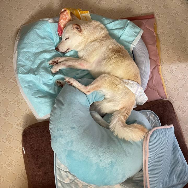 7a5f7c3e 3124 4c15 849a f9a4a50d8f49 1663037608164