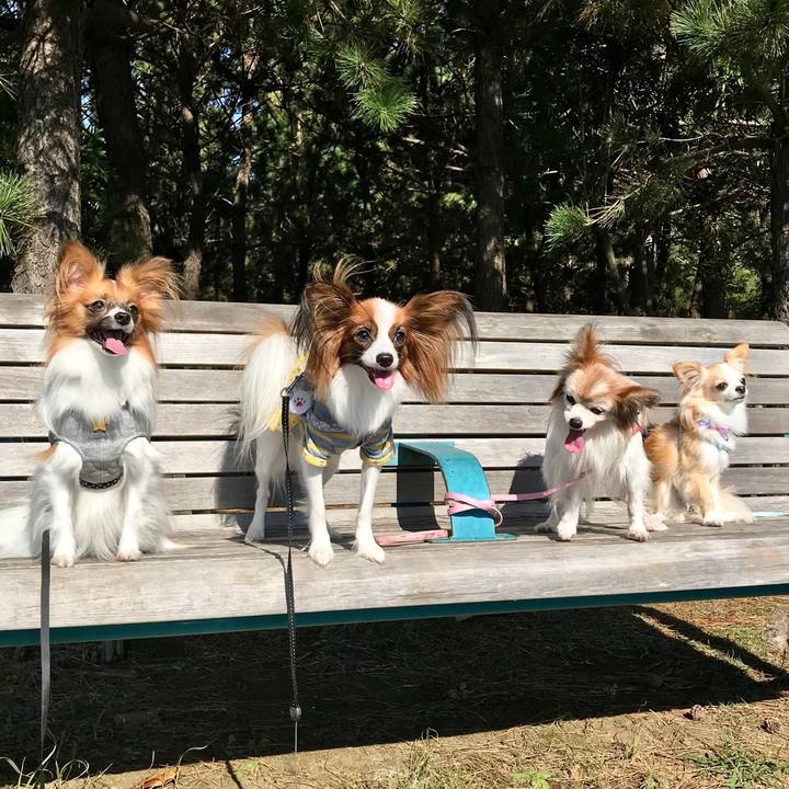 7a5f9b61 77d7 47e8 9149 125b83f20e42 1509700251346