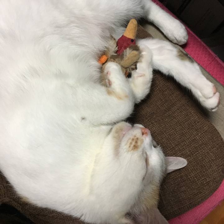 7a6096f1 2adf 4407 a1b3 f624abf61776 1561558003958