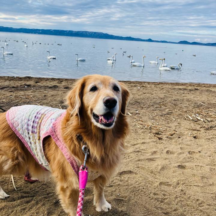 7a60b055 db91 4c18 9e98 fc05c4489cc0 1766384419228