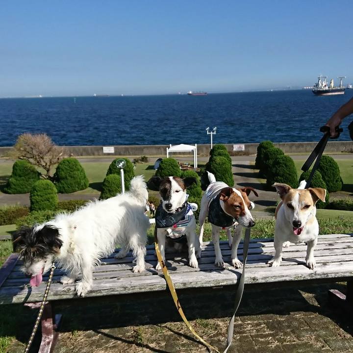 7a60eed7 0875 4cd0 9ddd 9fcdc9c59c62 1538909281815