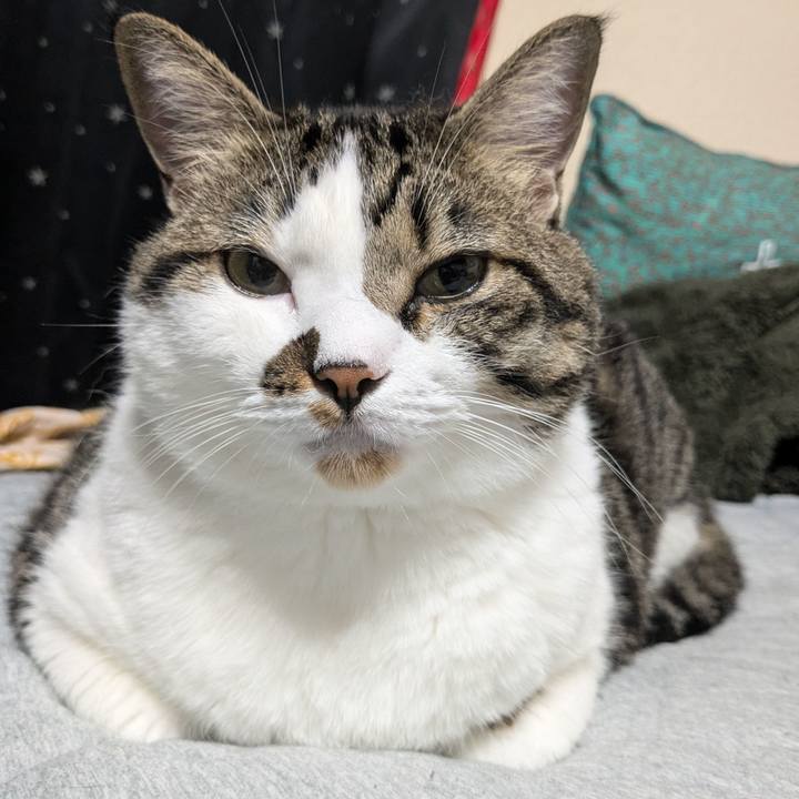 7a60fc04 90cf 41bf 9dfd bea23d4b35ee 1725175602926