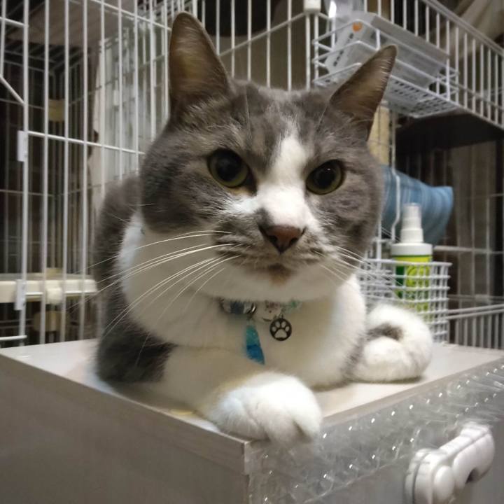 7a610b14 552f 4156 82d1 22cdfb577980 1681474061727