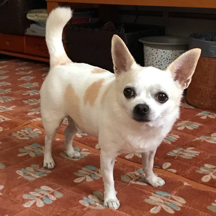 7a618471 f311 47da a3a0 025129eea3a8 1538390513325