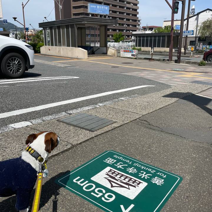 7a61c472 c8d6 4325 b019 50a08b6c03ac 1651302805368