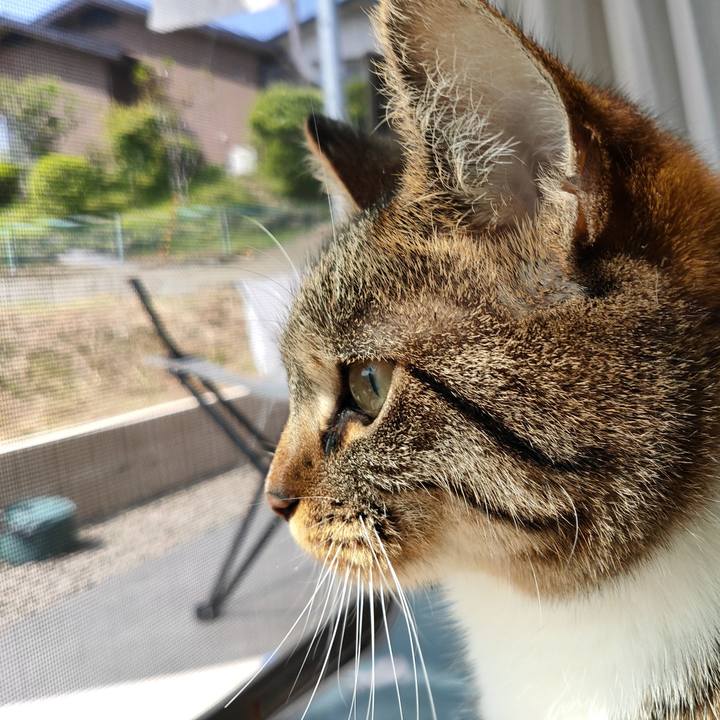 7a61d0c8 defc 4b99 8861 1e7a1bfbe5e4 1653438148226