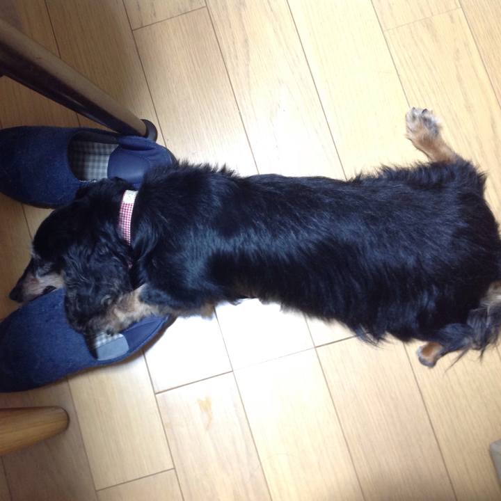 7a61d793 139e 417b ab85 2ab2b174058c 1629368131213