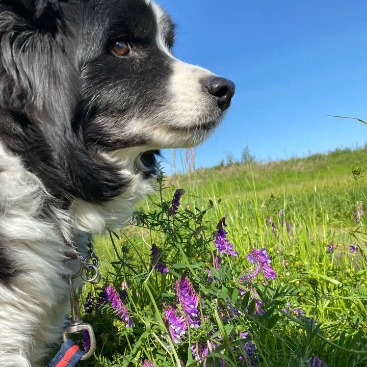 7a620338 dc53 4800 86ac d7329d2d06dd 1682214047066