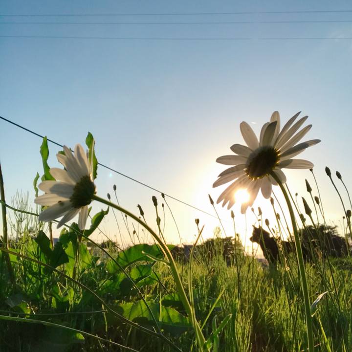 7a620f86 d6fb 4054 869a 2cc96b5e9761 1528888846620