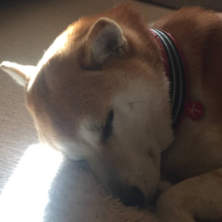 7a62285c cf05 4903 b994 2ae6cfce365c 1520291667122