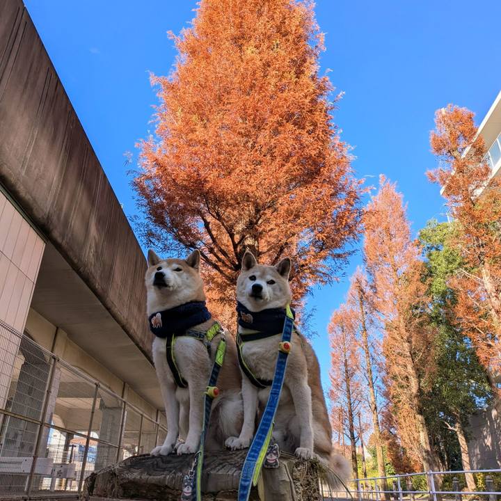 7a624cc4 d618 4db2 9ab4 6172749cfc0d 1765335515684