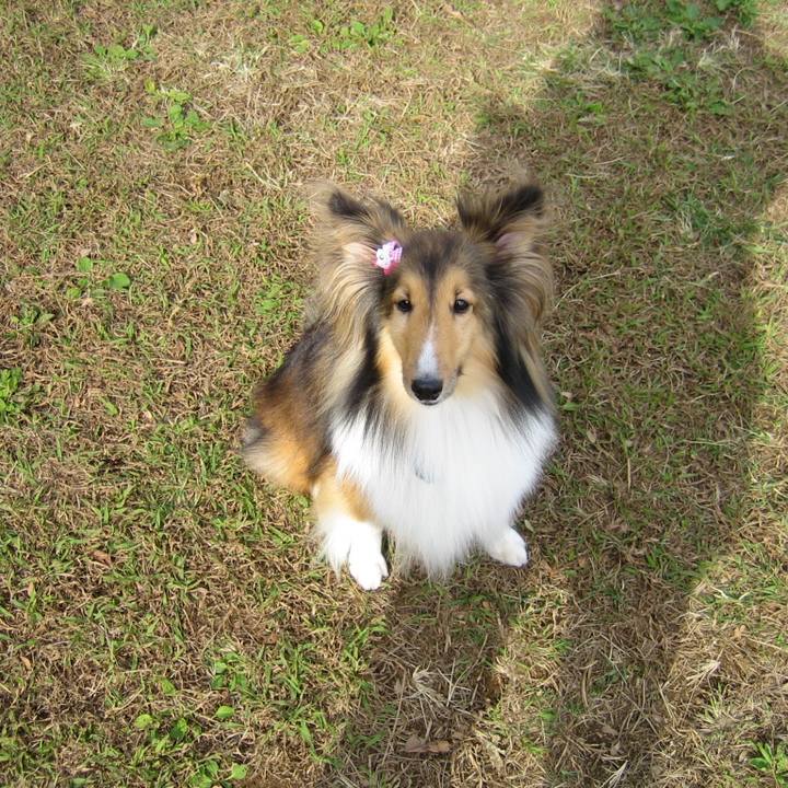 7a625fbf 46be 49c8 9844 a32f48a0225b 1547565246164