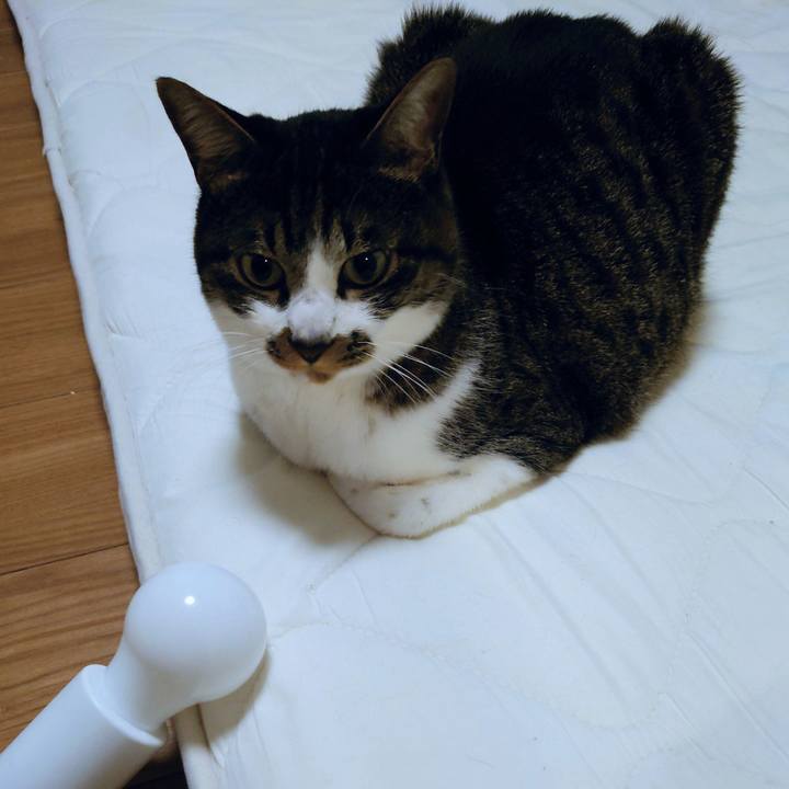 7a62a510 ed0a 46b5 a8a6 12b997afccce 1758524972304