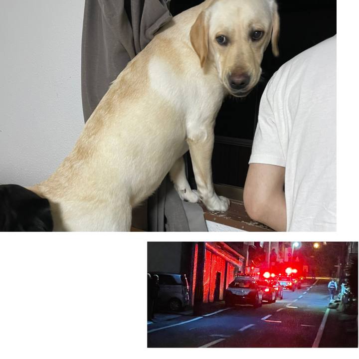 7a62bc0b 781e 4506 8a07 d1b242bc6a07 1652360631566