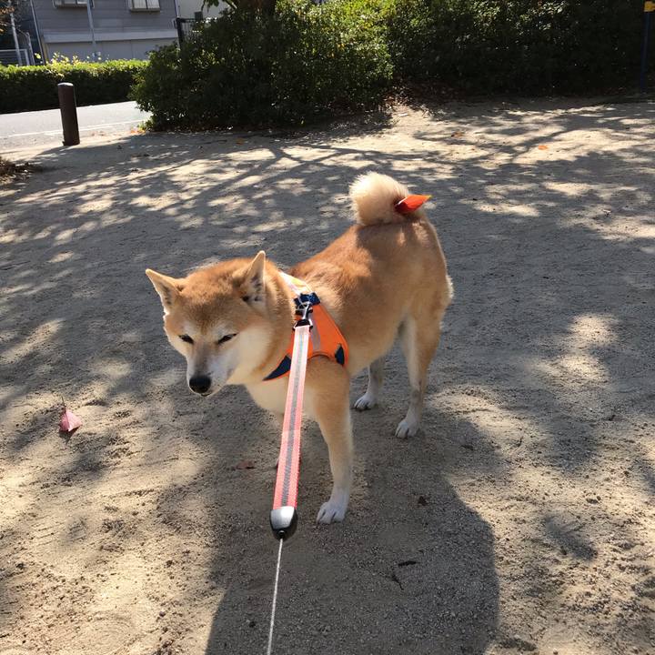 7a6333c6 2da4 4422 9600 f17fe0b107bc 1542369916205