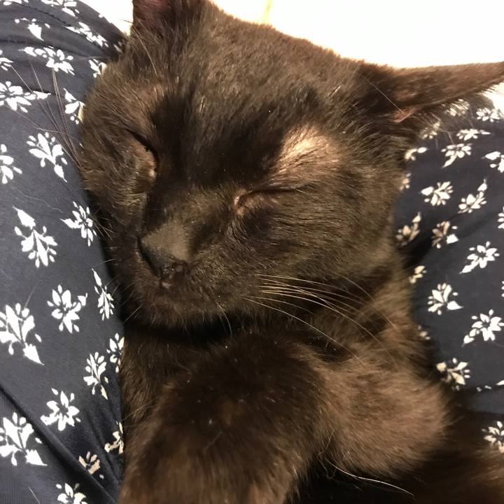 7a641654 2668 4612 9280 1e624f1b021b 1527684475358