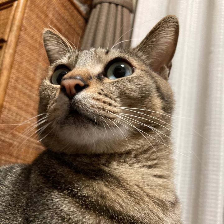 7a643726 d071 4003 9ac3 a8a20319f3f3 1771540137735