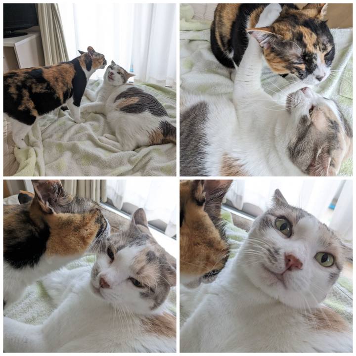 7a6450d3 9681 4f70 a8b1 3bd4bf0682c1 1692502323517